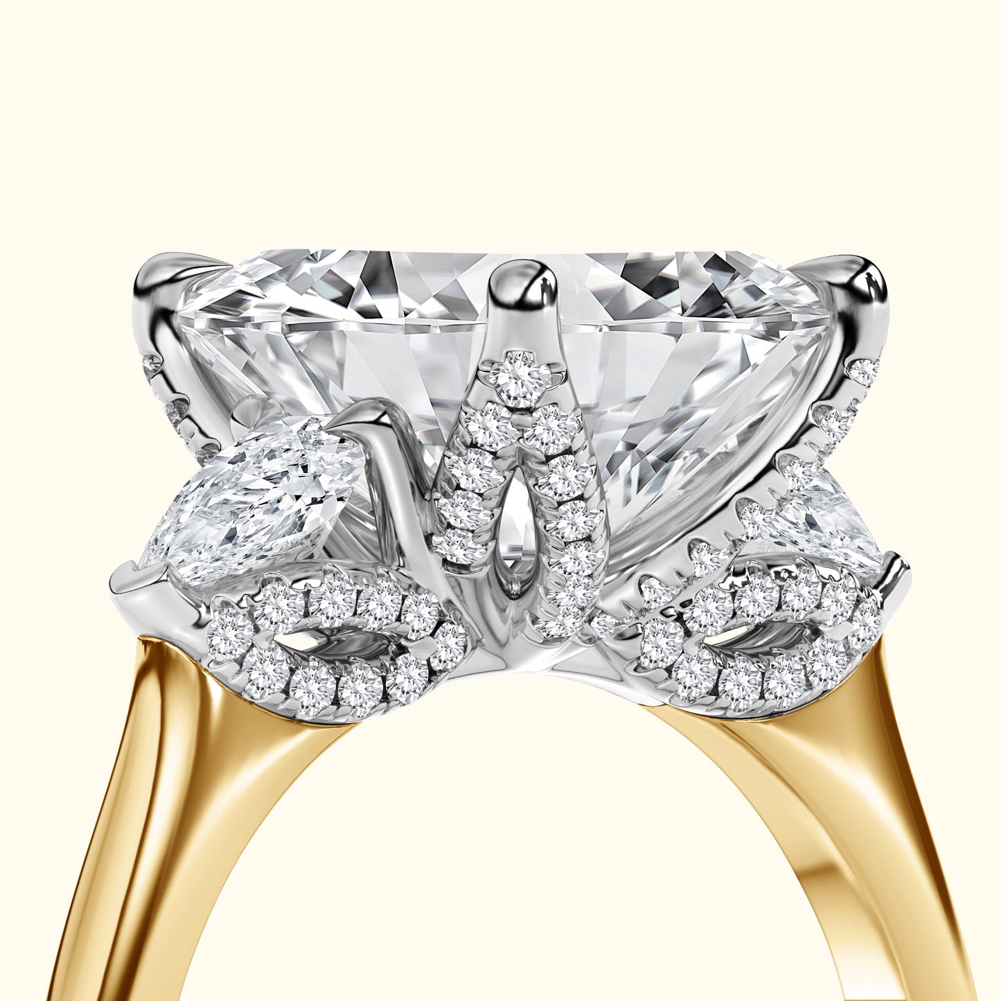 The 'Rose' Setting