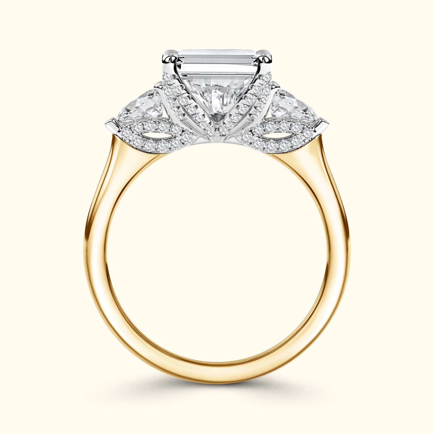The 'Rose' Setting