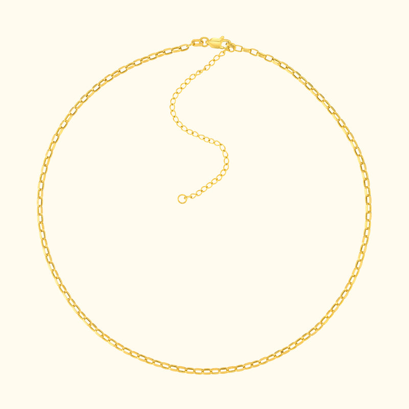 Delicate gold chain necklace with a clasp and extender link.