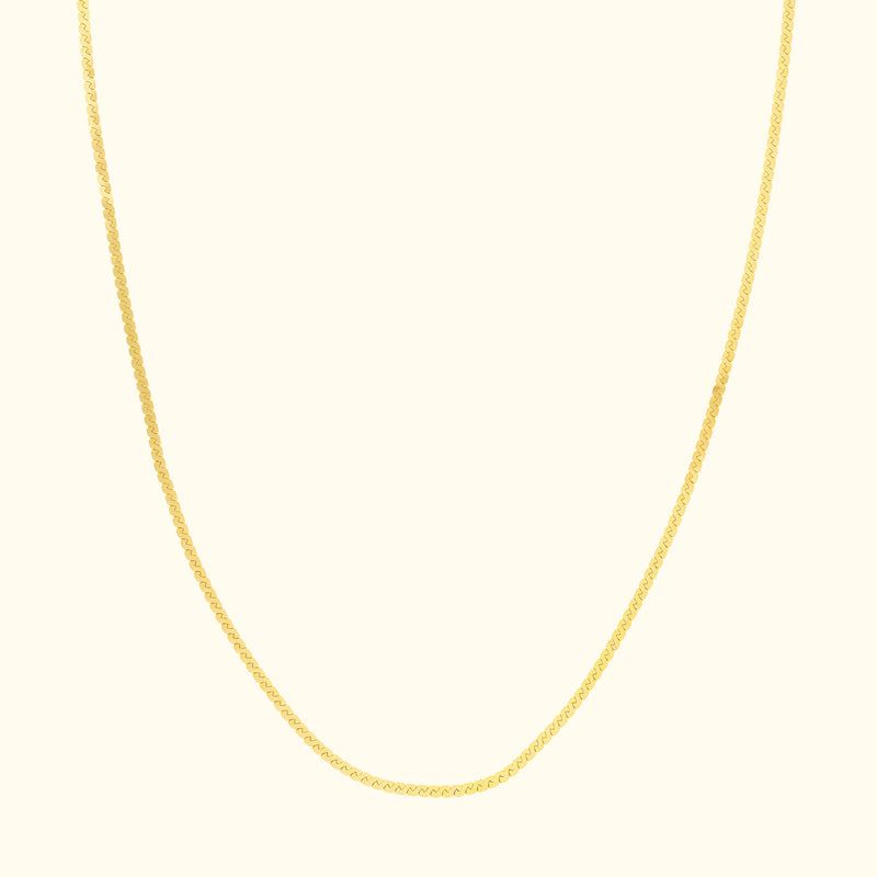 Delicate gold chain necklace with a smooth, subtle design against a light background.