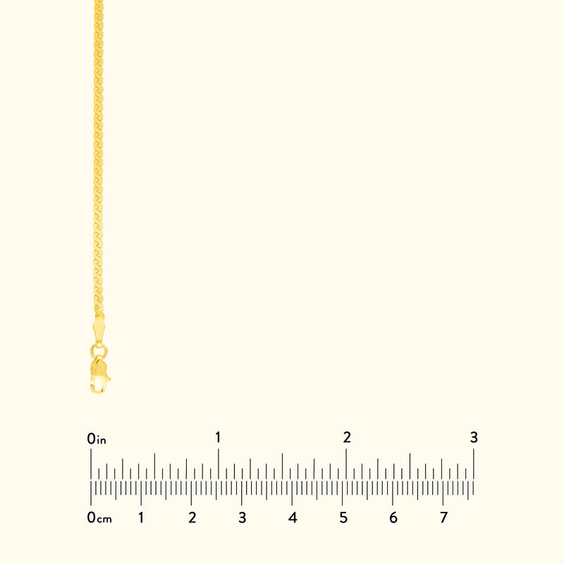 Thin gold chain necklace with a clasp, displayed alongside a ruler for size reference.