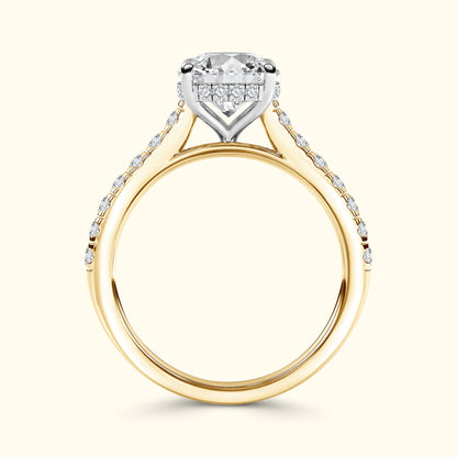 Elizabeth' Engagement Ring - French Pavé Halo Design