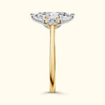 Stephanie Engagement Ring