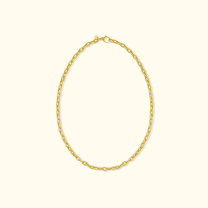 Oval Link Charm Chain