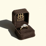 Danielle Engagement Ring