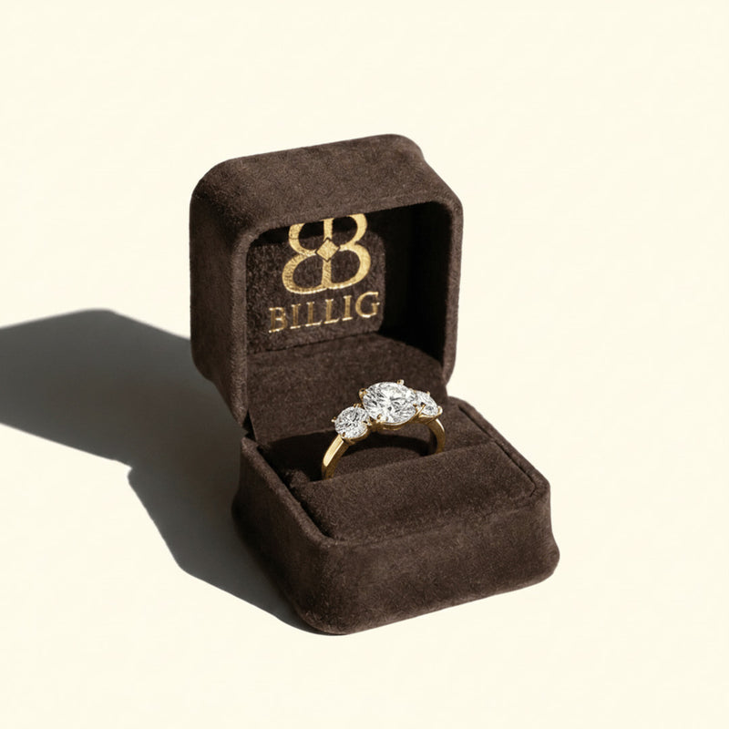Danielle Engagement Ring