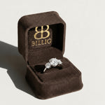 Danielle Engagement Ring