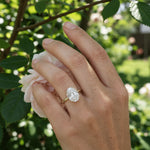 Jess Engagement Ring