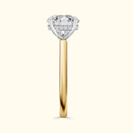 Solitaire engagement ring with a large diamond set in a two-tone band.