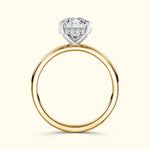Gold and silver engagement ring with a heart-shaped diamond and small accent stones.