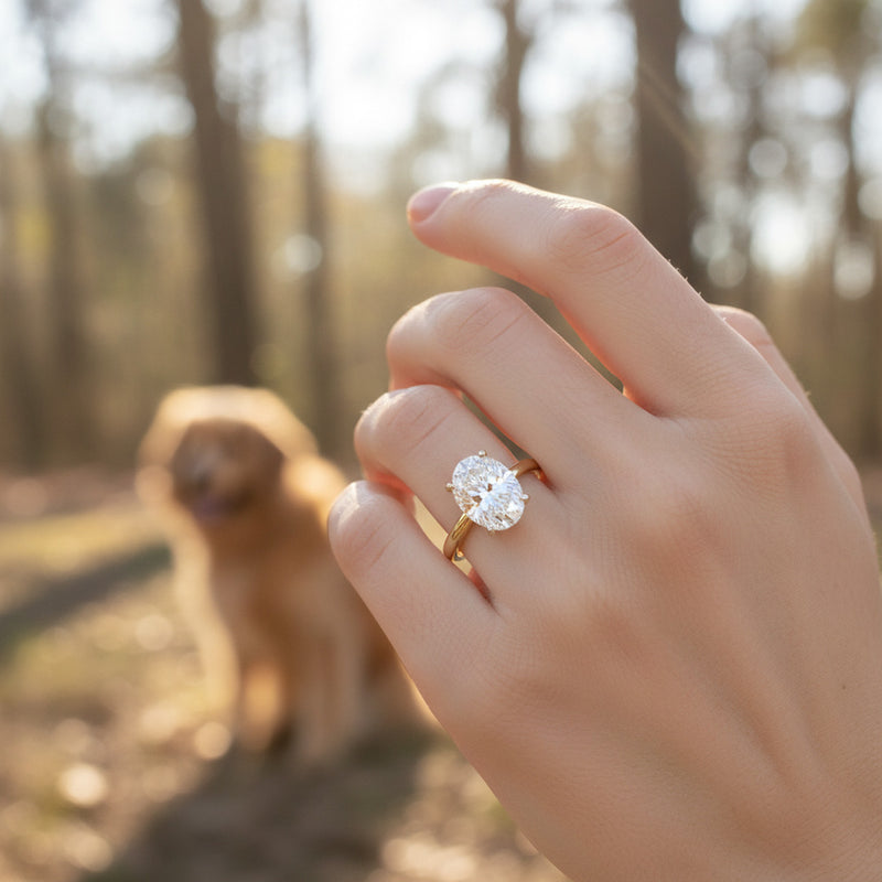 'Janine' Setting