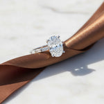 'Logan' Setting