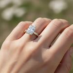 'Logan' Setting