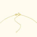 Delicate gold chain necklace with a lobster clasp and adjustable length.
