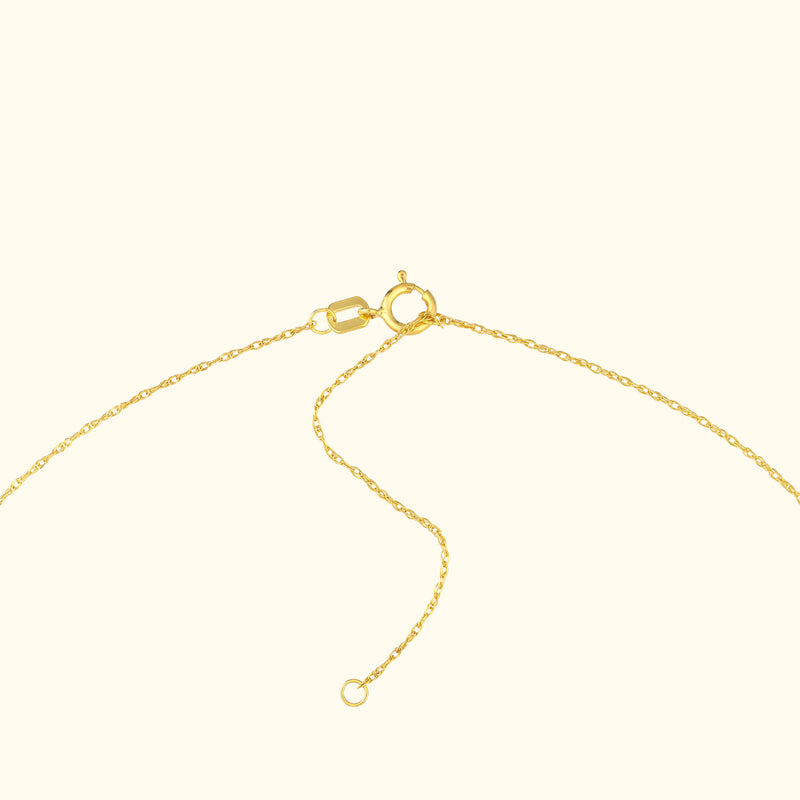 Delicate gold chain necklace with a lobster clasp and adjustable length.