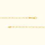 Delicate gold chain necklace with small elongated links and a clasp.