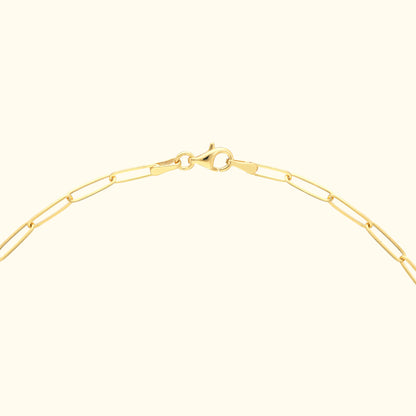 Delicate gold chain necklace with a secure clasp, displayed against a neutral background.