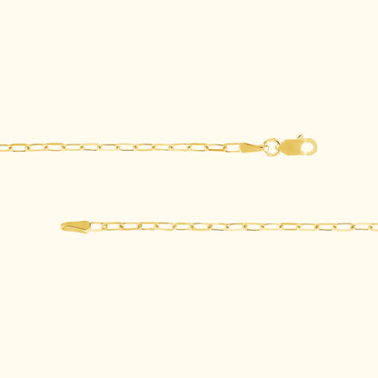 Delicate gold chain necklace with a lobster clasp and simple link design.