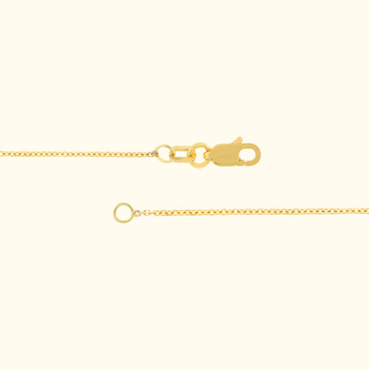 Gold chain necklace with a lobster clasp and a delicate link design.