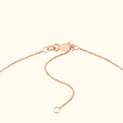 Rose gold chain necklace with a clasp and a small extension link.