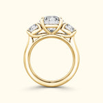 Danielle Engagement Ring