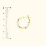 Two-Tone Knife Edge Omega Back Hoops